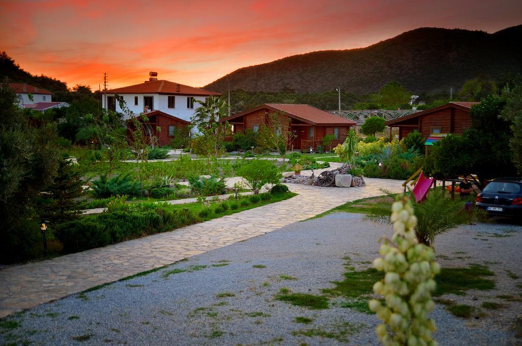 Hayitbuku Ahsapevleri Pensionat Mesudiye  Exteriör bild