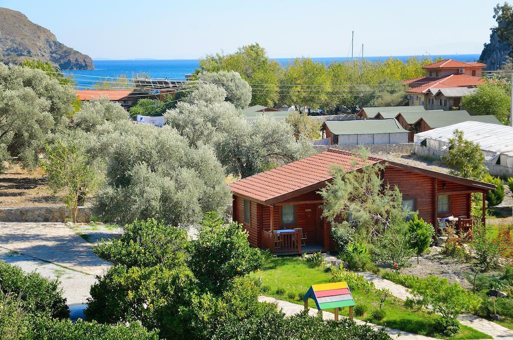 Hayitbuku Ahsapevleri Pensionat Mesudiye  Exteriör bild