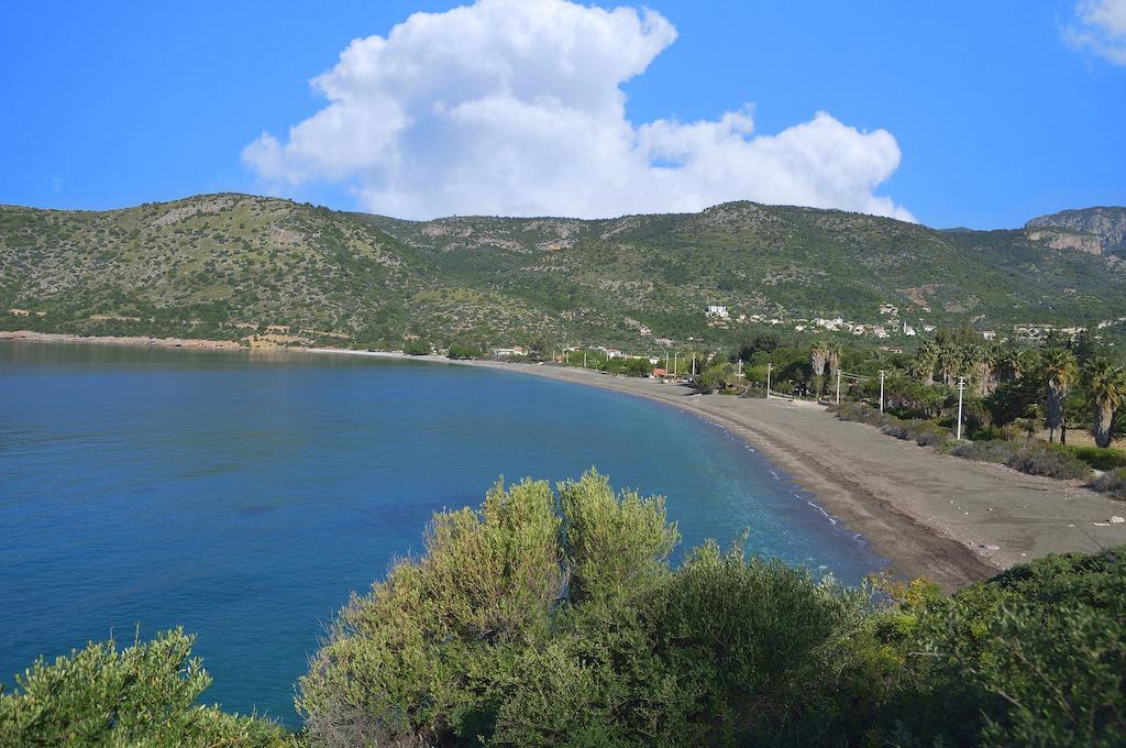 Hayitbuku Ahsapevleri Pensionat Mesudiye  Exteriör bild