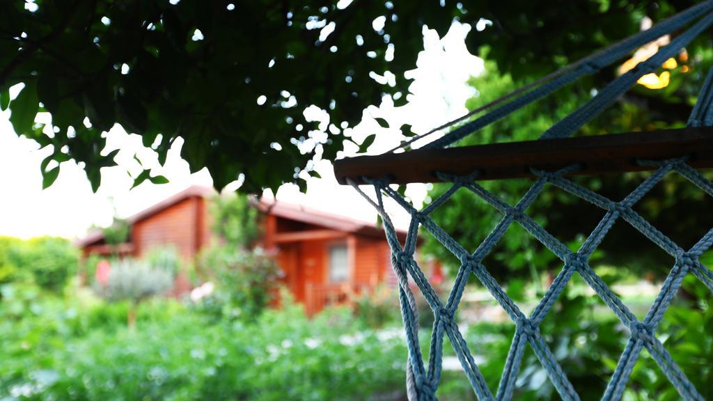 Hayitbuku Ahsapevleri Pensionat Mesudiye  Exteriör bild